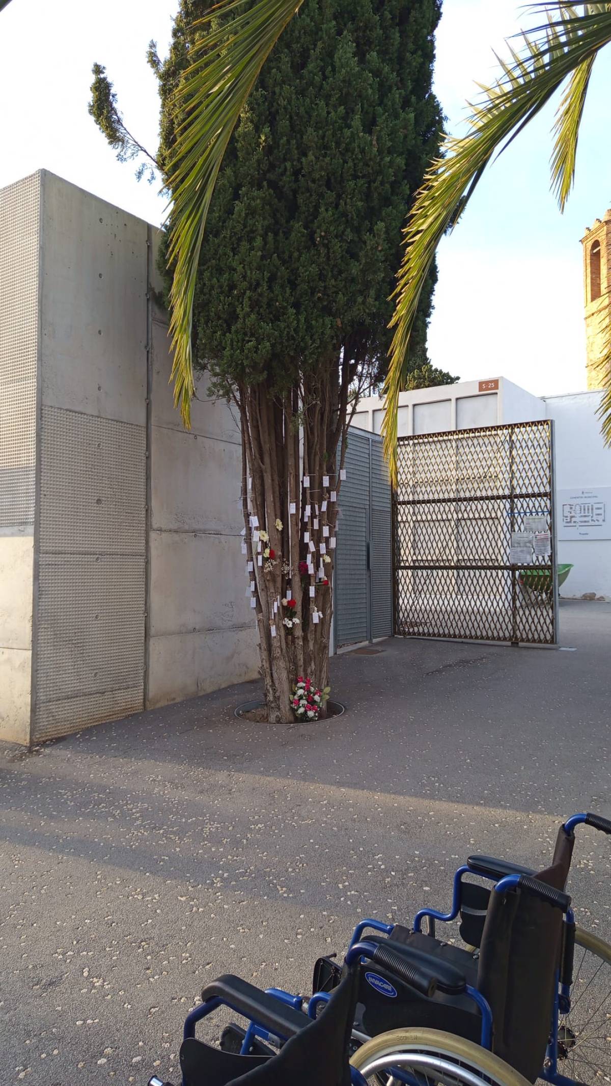 Tots Sants amb música als cementiris: així vam viure una jornada de serenitat i record